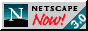 Best viewed in Netscape